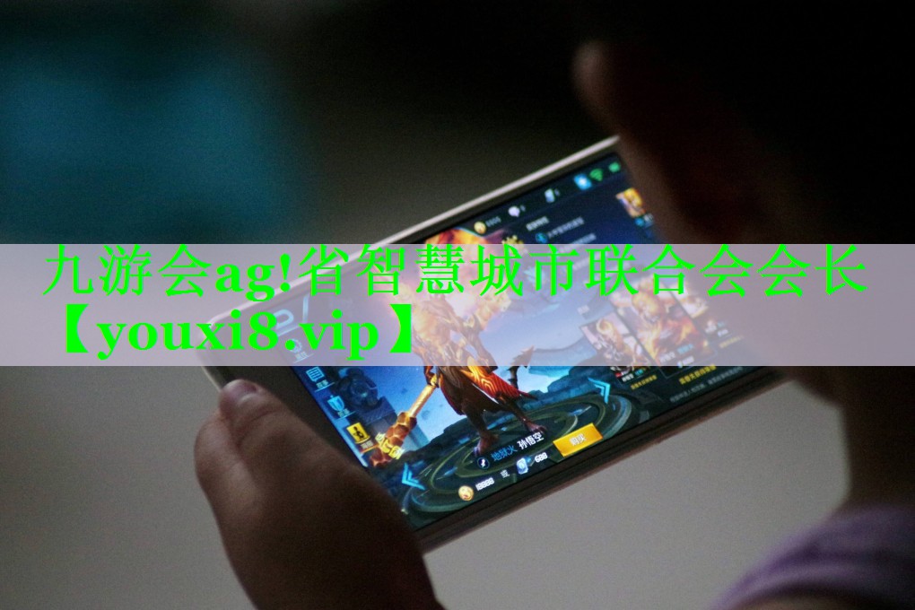 <strong>九游会ag!省智慧城市联合会会长</strong>