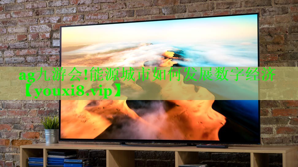 ag九游会!能源城市如何发展数字经济