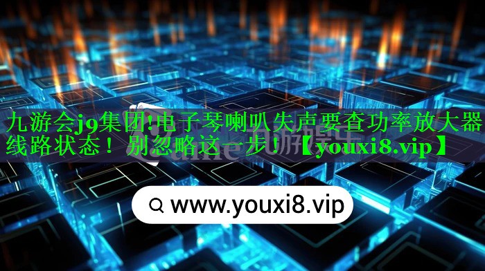 九游会j9集团!电子琴喇叭失声要查功率放大器线路状态！别忽略这一步！