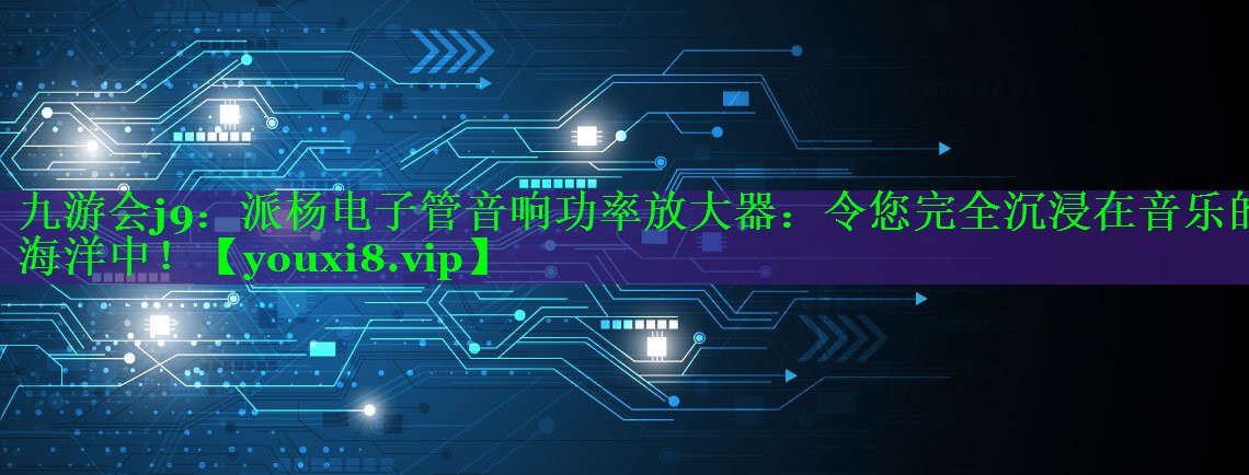 派杨电子管音响功率放大器：令您完全沉浸在音乐的海洋中！