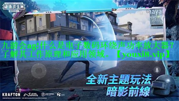 什么是电子数码环绕声功率放大器？了解其工作原理和应用领域。