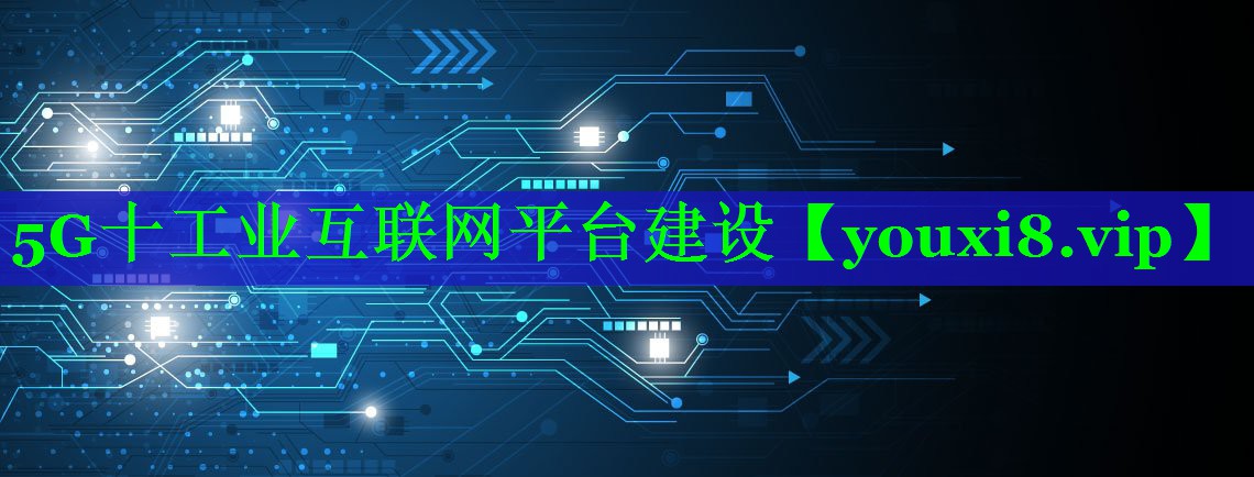 5G十工业互联网平台建设